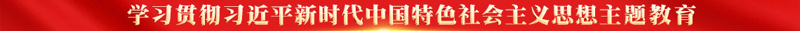 学习贯彻习近平新时代特色社会主义思想主题教育