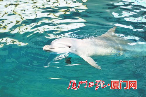 坚持人与自然和谐共生 厦门生态文明建设再获殊荣亿博电竞 亿博官网(图3)