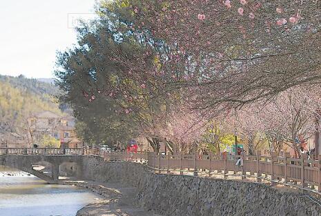 首届闽台（南靖）梅花文化节举行
