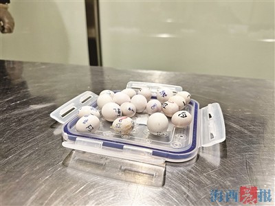厦门海关截获21枚濒危鹦鹉蛋 已按要求暂扣